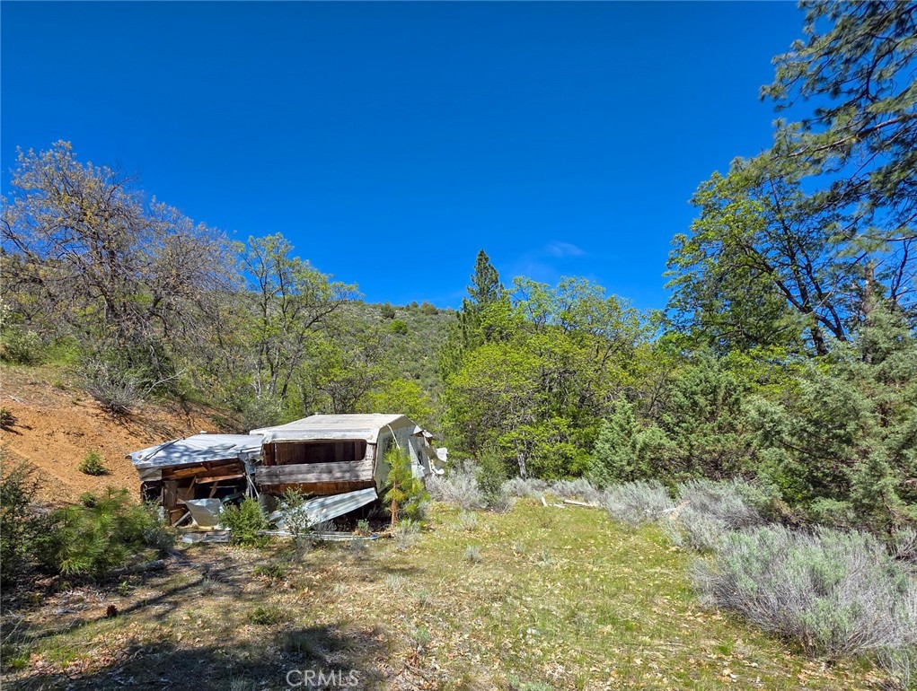 40 Scarface Road Gazelle, CA 96034 - Photo 16 of 52 a backyard of a house with large trees