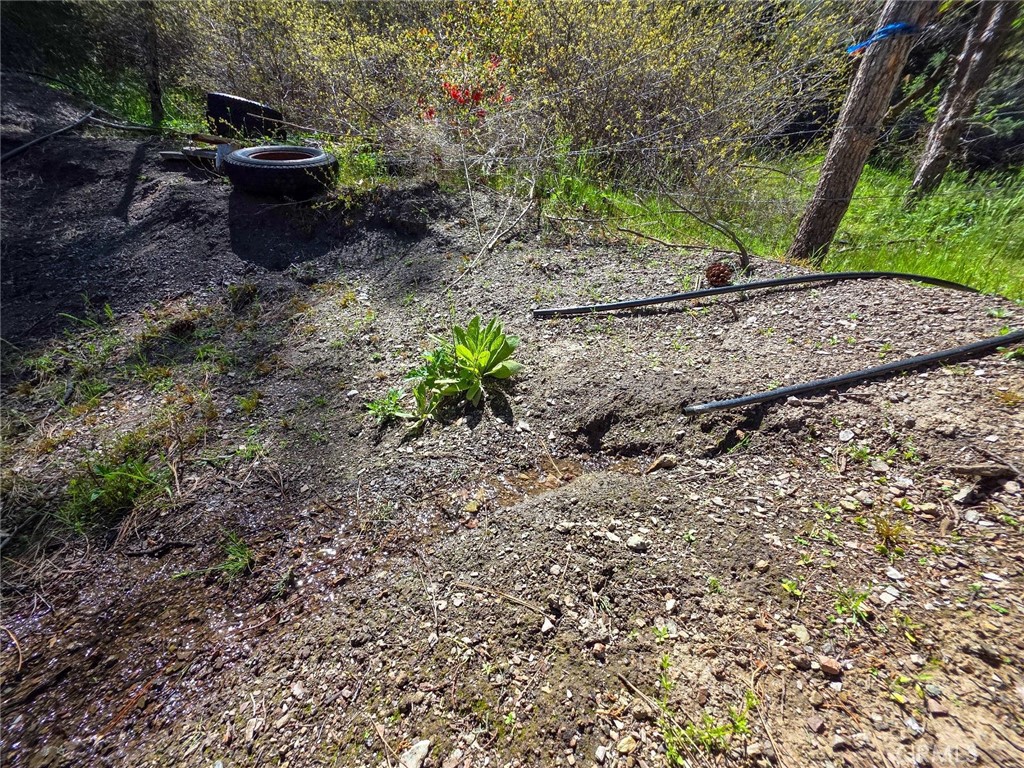 40 Scarface Road Gazelle, CA 96034 - Photo 20 of 52 a fire hydrant in the middle of a field