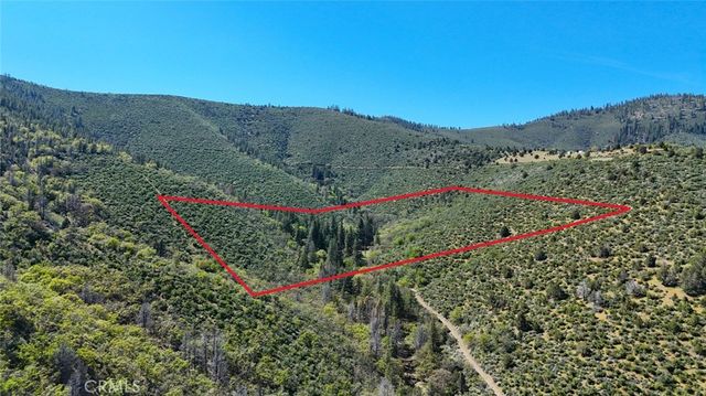 a view of a bunch of flowers