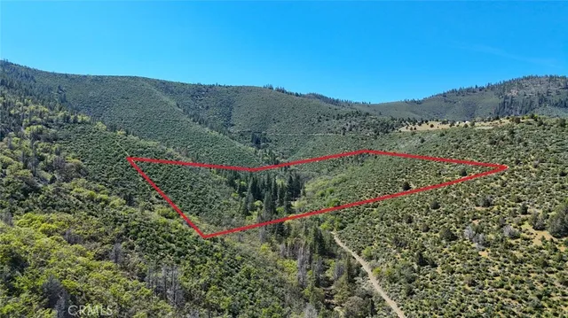 a view of a bunch of flowers