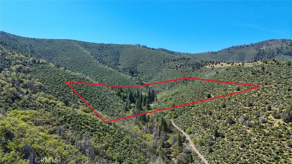 40 Scarface Road Gazelle, CA 96034 - Photo 2 of 52 a view of a bunch of flowers