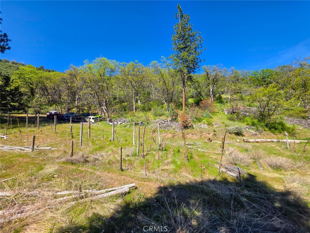 40 Scarface Road Gazelle, CA 96034 - Photo 22 of 52 a view of a lake with a yard