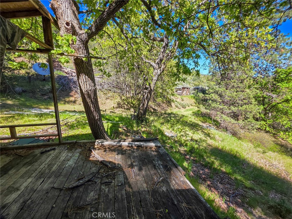 40 Scarface Road Gazelle, CA 96034 - Photo 26 of 52 a view of a yard with a tree