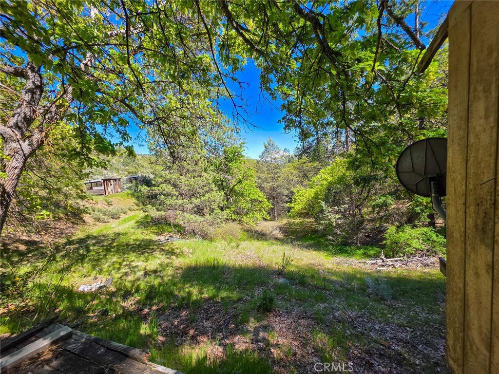 40 Scarface Road Gazelle, CA 96034 - Photo 27 of 52 a view of a tree with a yard