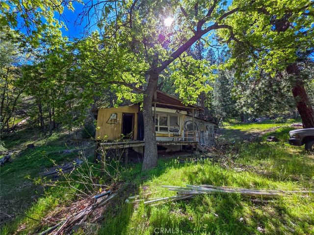 a view of a yard with plants and large trees