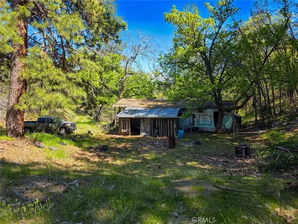 a view of a back yard