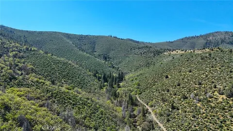 a view of a dry yard