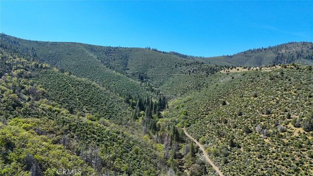 a view of a dry yard