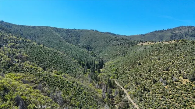 a view of a dry yard