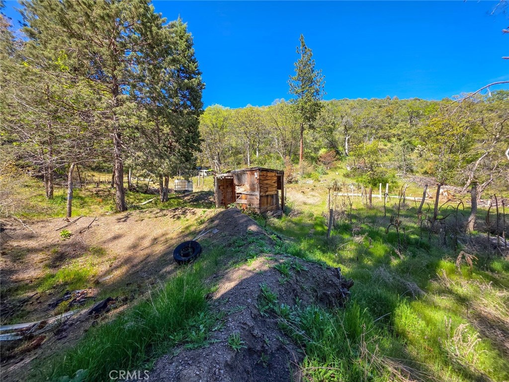 40 Scarface Road Gazelle, CA 96034 - Photo 31 of 52 a view of a back yard
