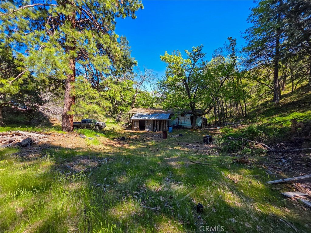40 Scarface Road Gazelle, CA 96034 - Photo 34 of 52 a backyard of a house with lots of green space