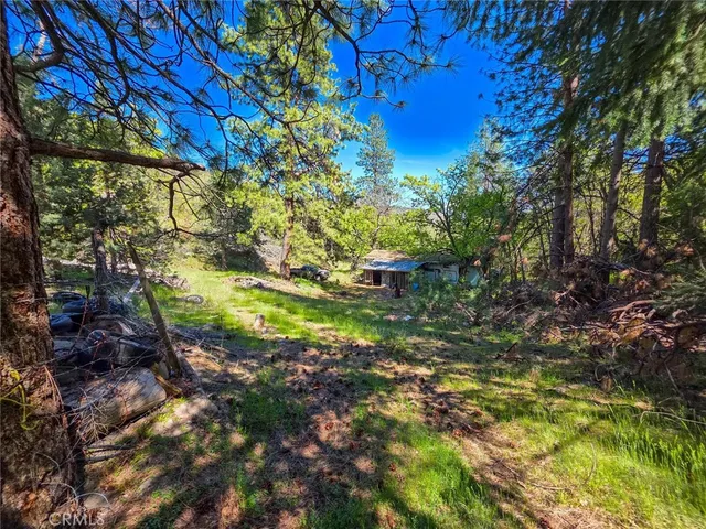 a view of a yard with a tree