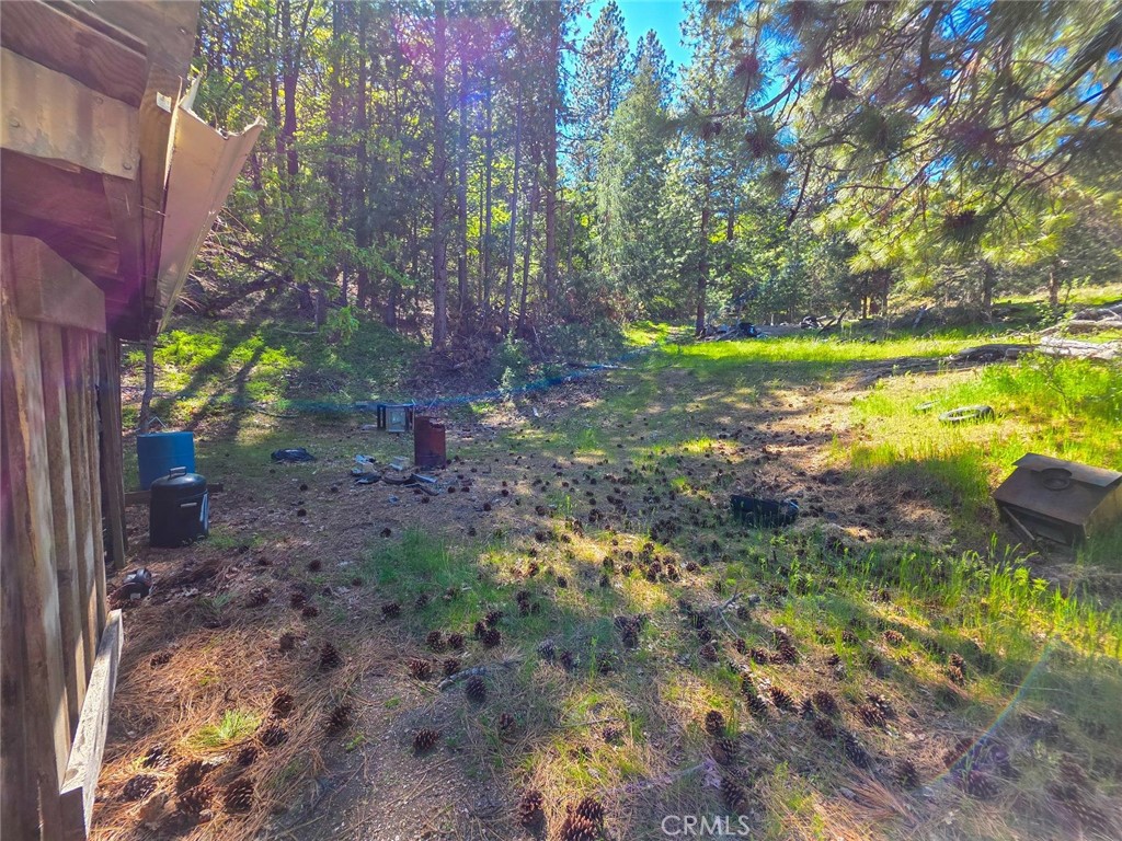 40 Scarface Road Gazelle, CA 96034 - Photo 39 of 52 a view of a yard with a tree