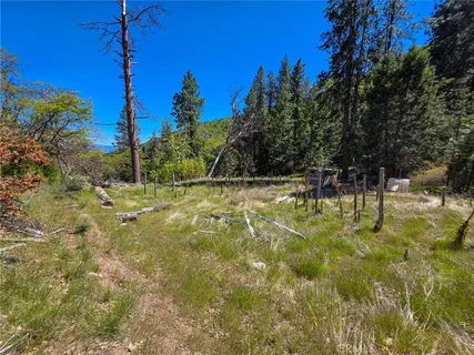 a view of yard with swimming pool and trees