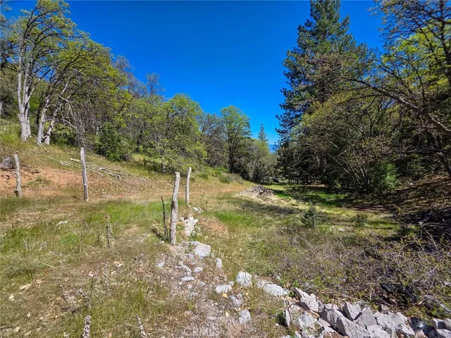 a view of a field with an ocean