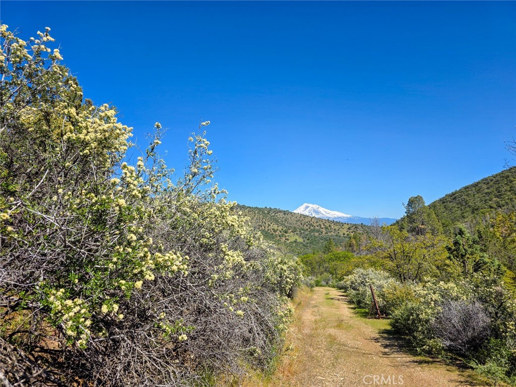 40 Scarface Road Gazelle, CA 96034 - Photo 44 of 52 a view of a field with an ocean