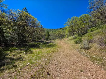 a view of a yard with a tree