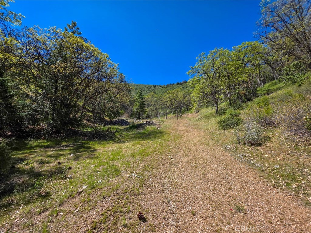 40 Scarface Road Gazelle, CA 96034 - Photo 45 of 52 a view of a water with a yard
