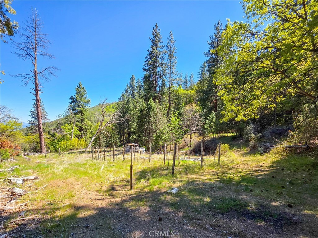 40 Scarface Road Gazelle, CA 96034 - Photo 46 of 52 a view of a yard