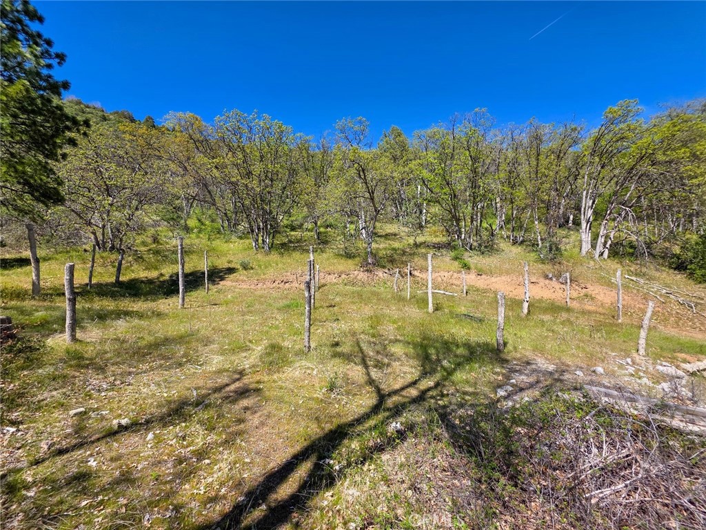 40 Scarface Road Gazelle, CA 96034 - Photo 47 of 52 a view of a yard with a tree