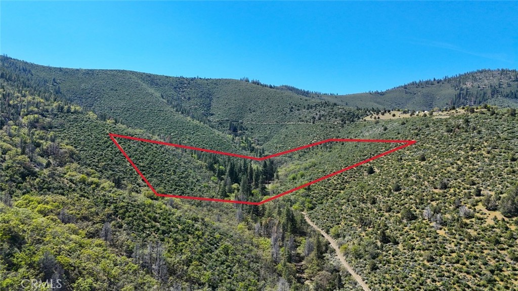 40 Scarface Road Gazelle, CA 96034 - Photo 49 of 52 a view of a pathway in a field