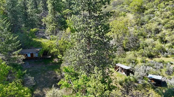 a view of a lush green forest with lots of trees