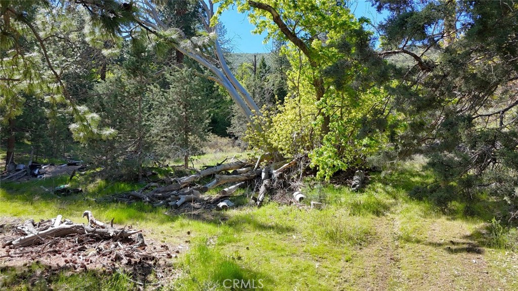 40 Scarface Road Gazelle, CA 96034 - Photo 7 of 52 a view of a lake with a house