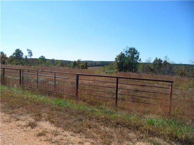 112 South Randall Road Westpoint, TN 38486 - Photo 11 of 11