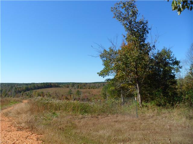 112 South Randall Road Westpoint, TN 38486 - Photo 3 of 11