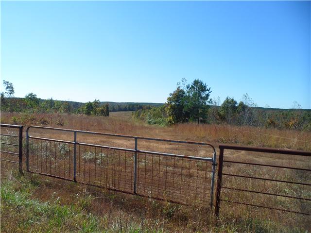 112 South Randall Road Westpoint, TN 38486 - Photo 6 of 11