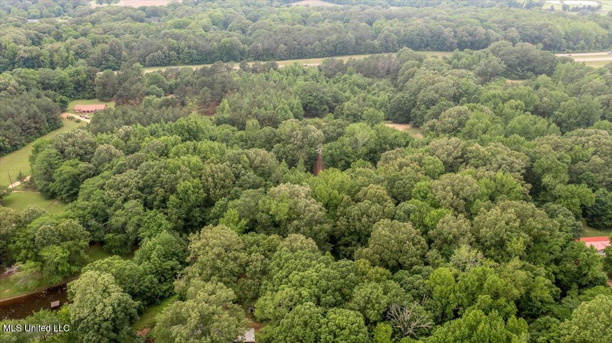 1358 David Road Coldwater, MS 38618 - Photo 27 of 28 31-Neighborhood