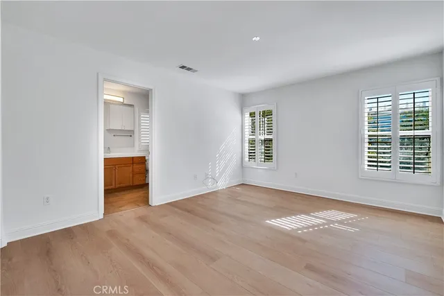 a view of a garden with plants and large trees