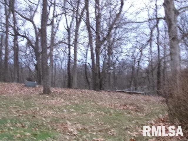 $46,000 | 23 Highway 34, Rosiclare, IL 62982