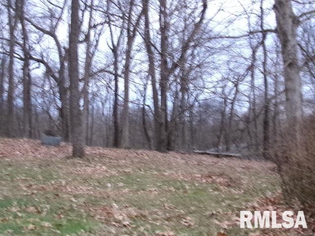 23 Highway 34 Rosiclare, IL 62982 - Photo 3 of 21