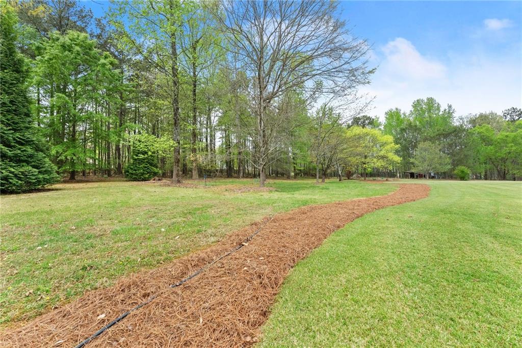 594 Peachtree Road Hoschton, GA 30548 - Photo 87 of 96 a view of a park with large trees