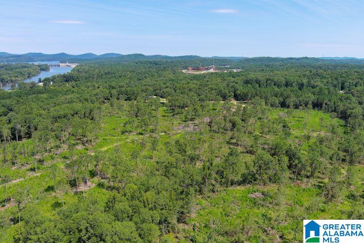 209 Harts Ferry Road, Unit 3 Ohatchee, AL 36271 - Photo 6 of 24