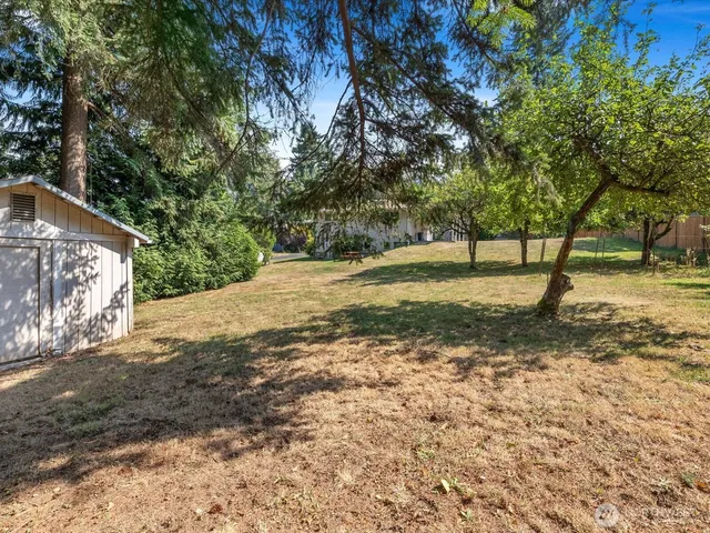 a view of a yard with tree s