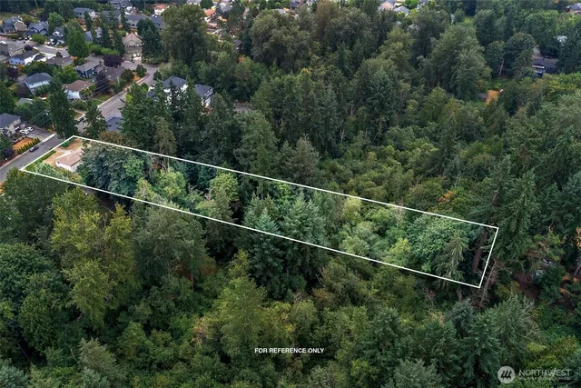 a view of a forest from a balcony