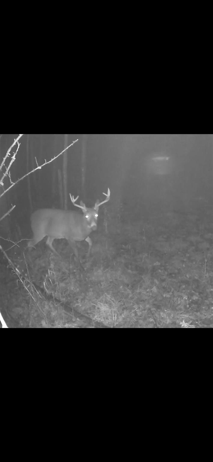 0 Gilberts Corners Road Sharon Springs, NY 13459 - Photo 5 of 6 Photo 5
