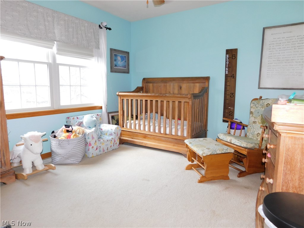 6363 Ridgeview Boulevard North Ridgeville, OH 44039 - Photo 13 of 14