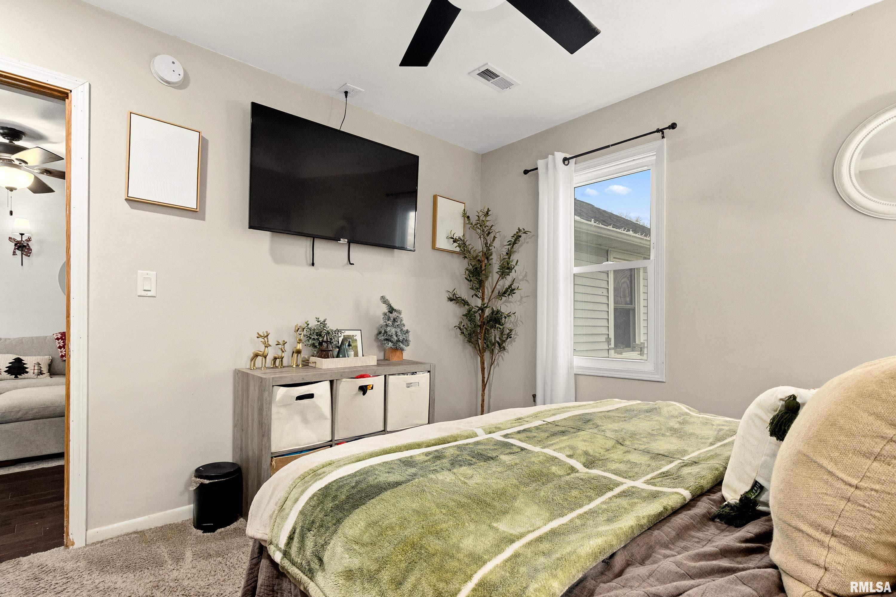 401 South Harris Street Tremont, IL 61568 - Photo 14 of 21