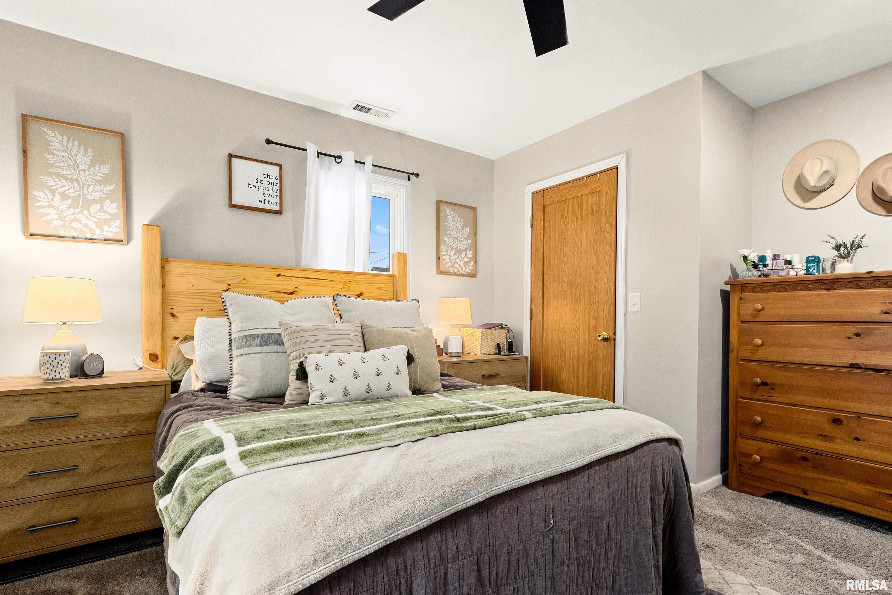 401 South Harris Street Tremont, IL 61568 - Photo 15 of 21