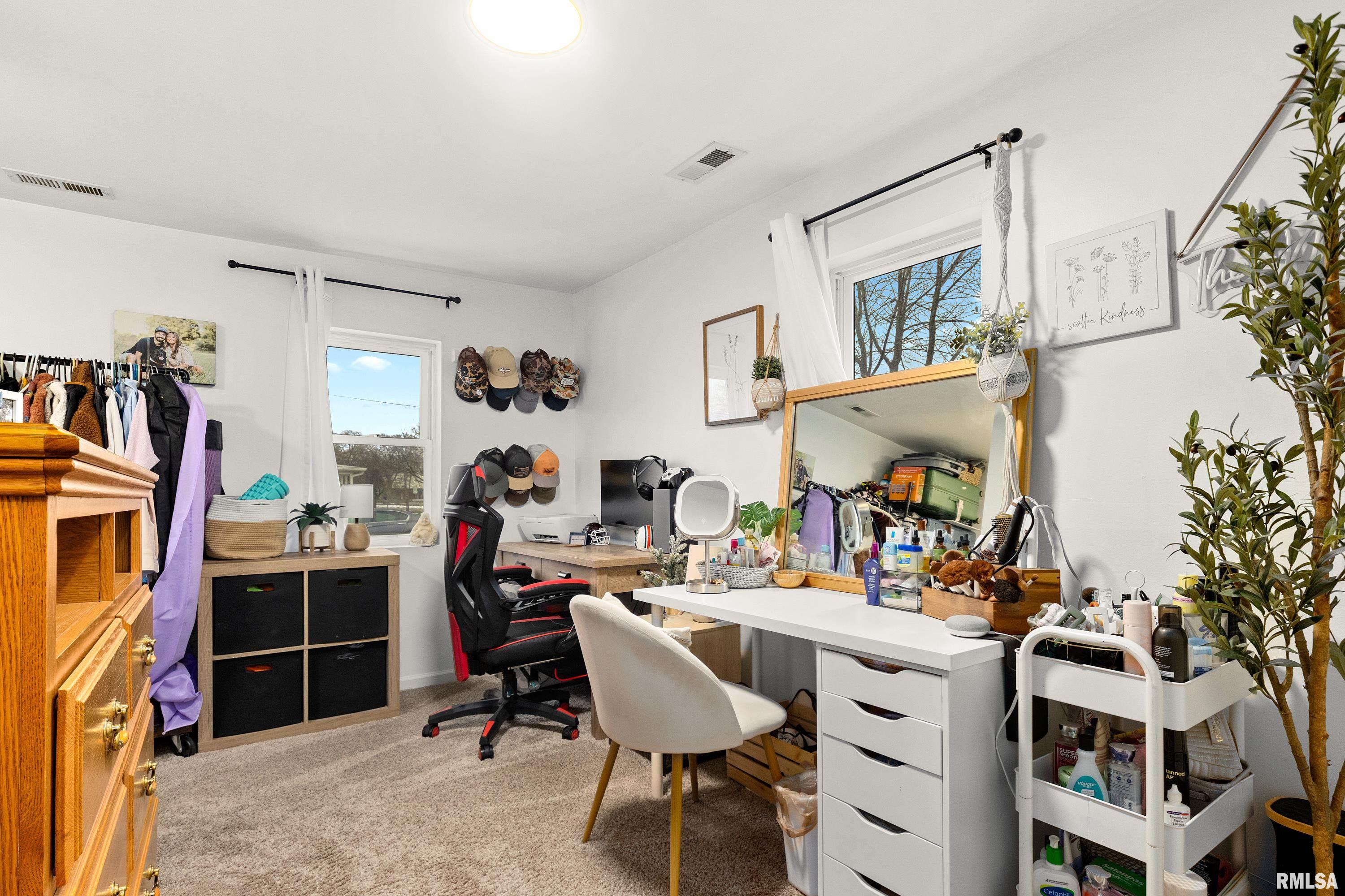 401 South Harris Street Tremont, IL 61568 - Photo 17 of 21