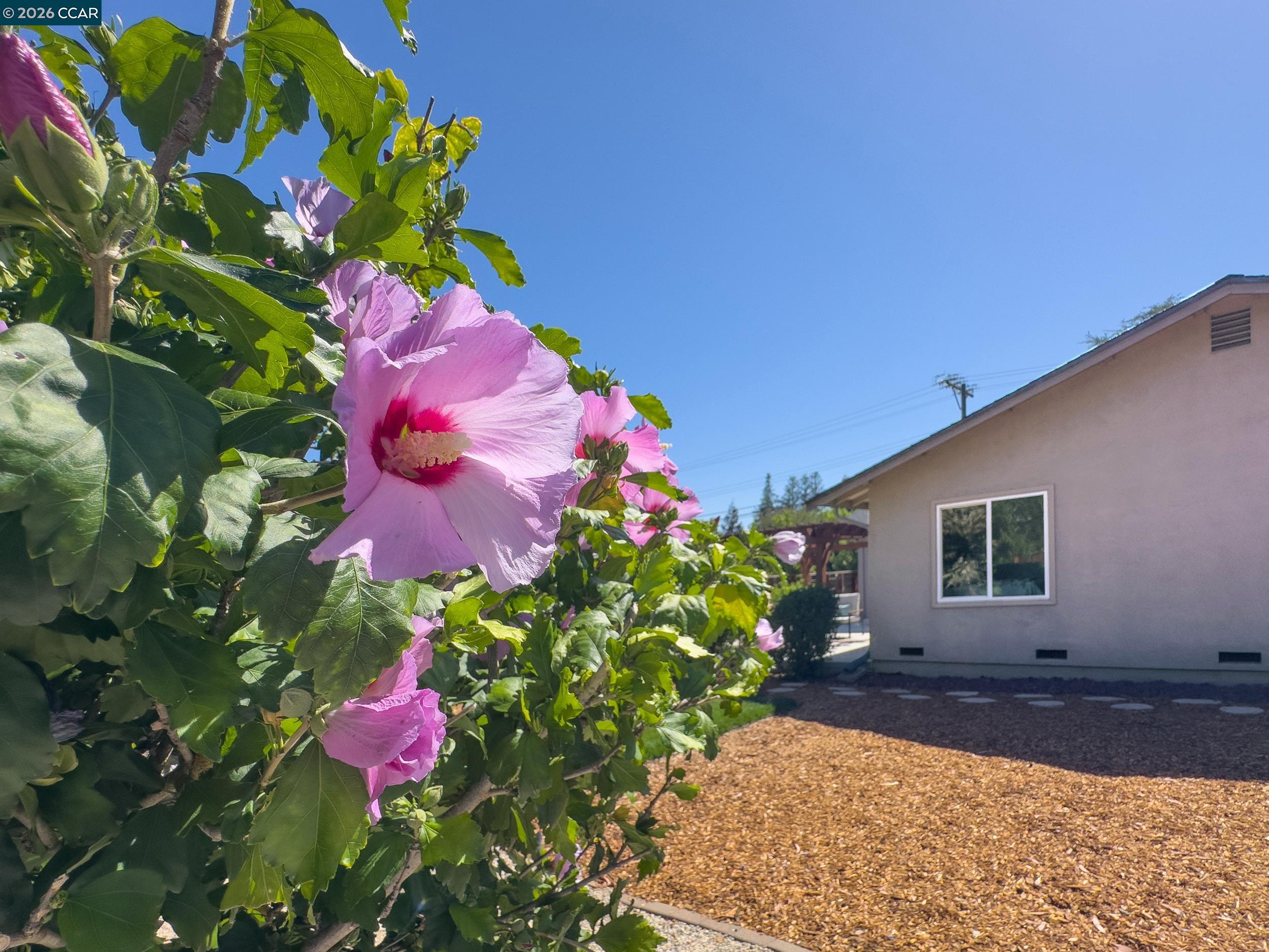 1759 Elm Road Concord, CA 94519 - Photo 43 of 51