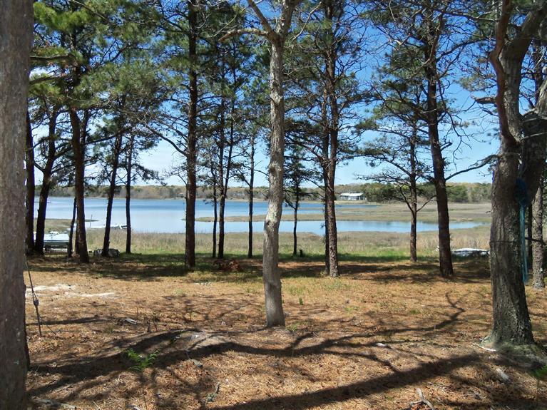 5 Monomoscoy Road West Mashpee, MA 02649 - Photo 1 of 4 a view of a yard with trees