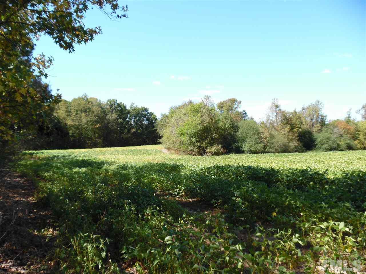 1096 Patterson Road Broadway, NC 27505 - Photo 14 of 21 Gallery Image 14