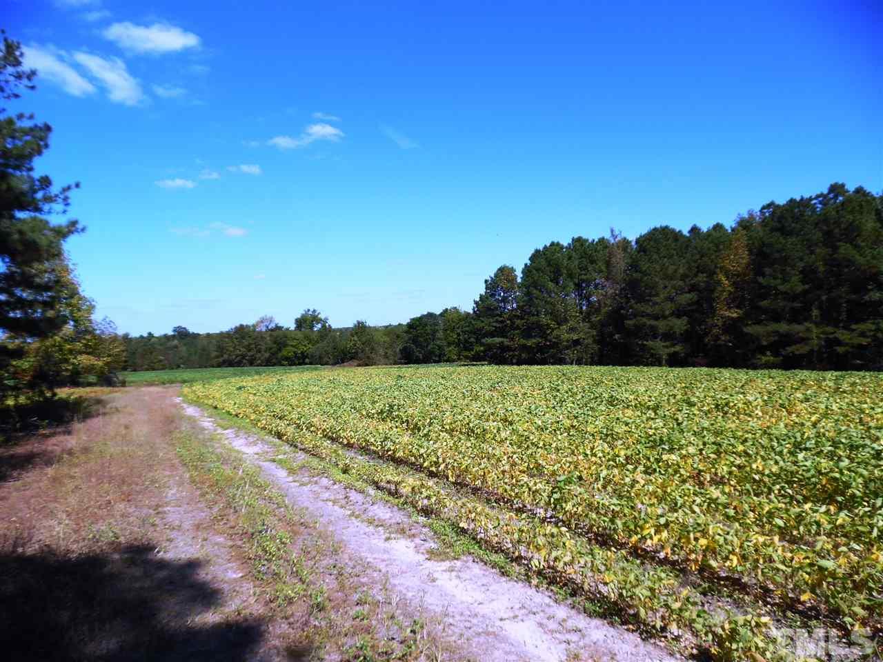 1096 Patterson Road Broadway, NC 27505 - Photo 3 of 21 Gallery Image 3