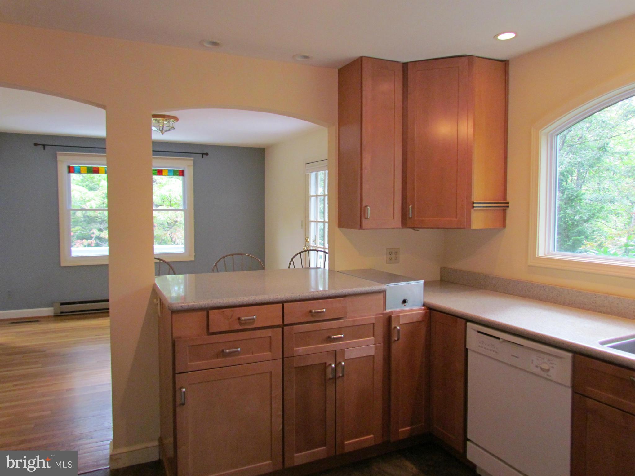 46389 Rue Purchase Road Lexington Park, MD 20653 - Photo 4 of 24 Kitchen