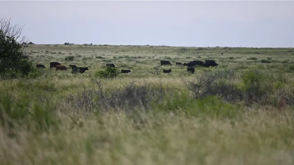 a view of lake with mountain