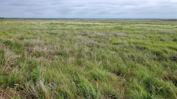 a view of a yard with an outdoor space